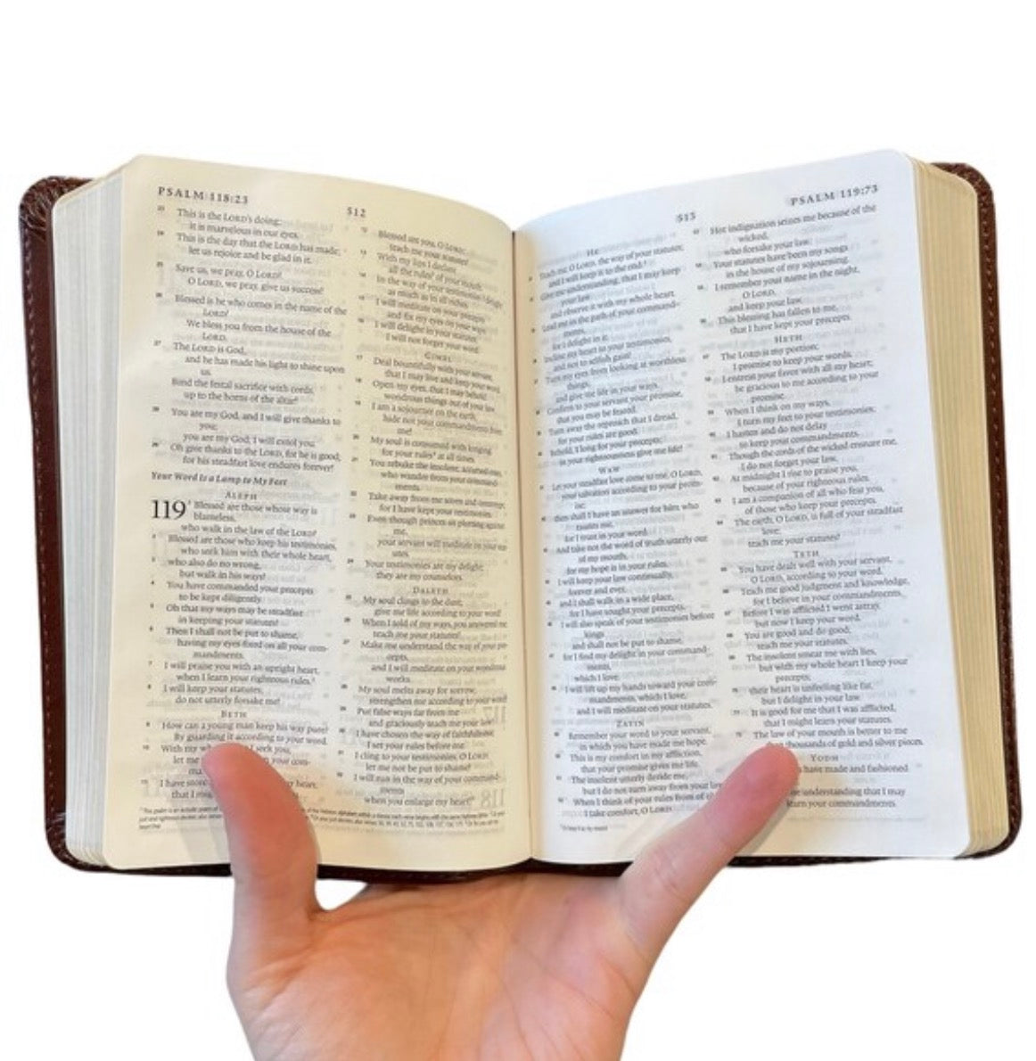 Flourish in His Word bible